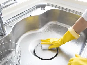 Scrubbing the Sink